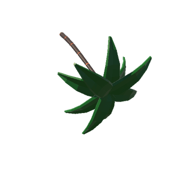 Palm Tree